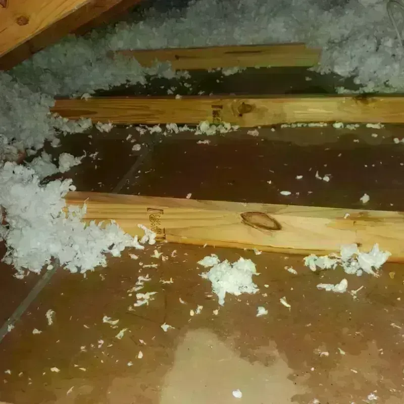 Attic Water Damage in Hyde, PA