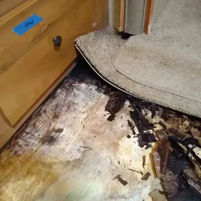 Wood Floor Water Damage in Hyde, PA